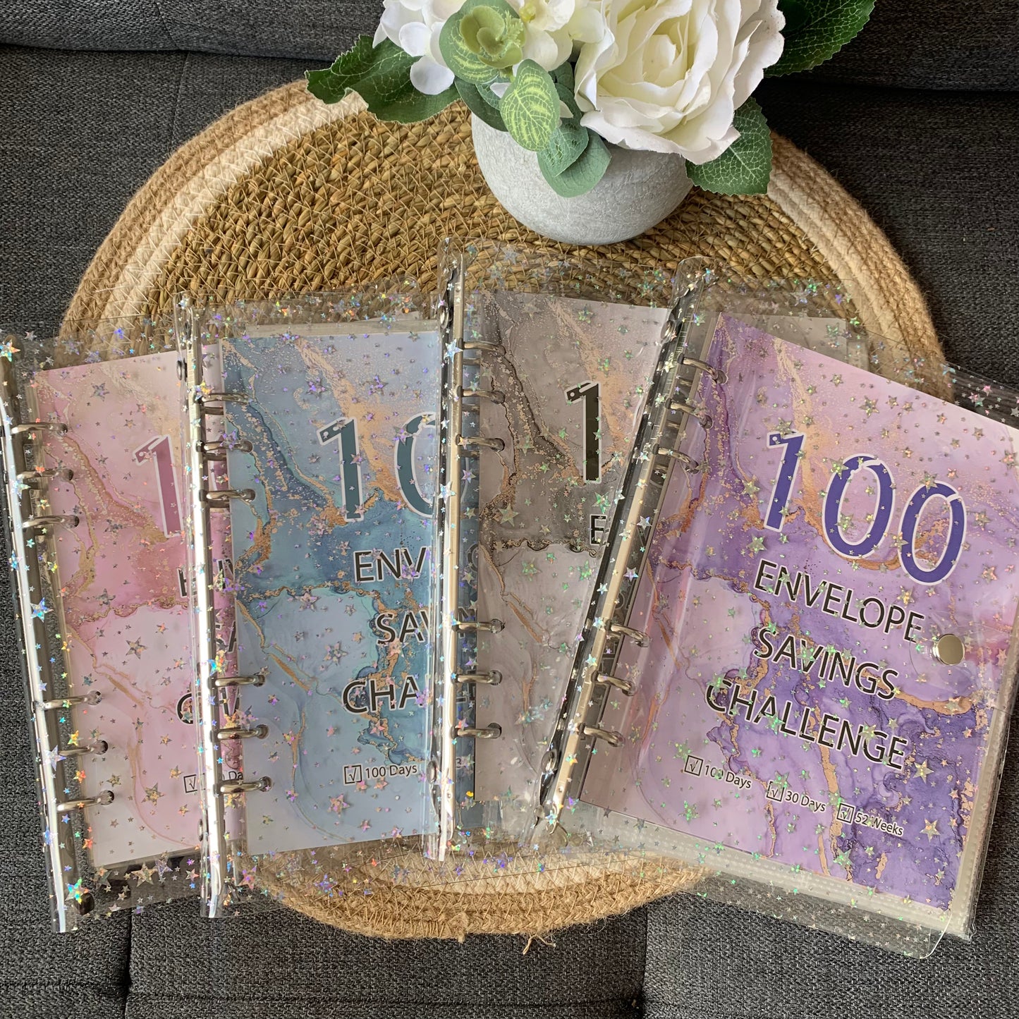 Reto de Ahorros 100 SOBRES